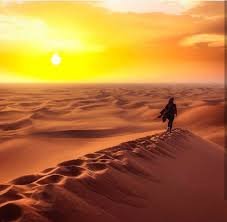 Desierto De Arabia